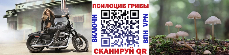 Псилоцибиновые грибы мухоморы  Купить где  Бабаево 